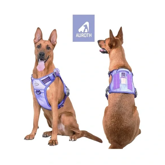 New Dog Harness - Picture 2 of 12